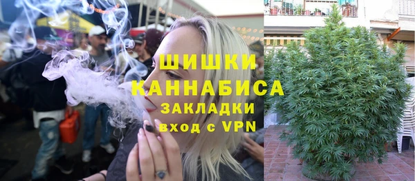 Альфа ПВП Лиски